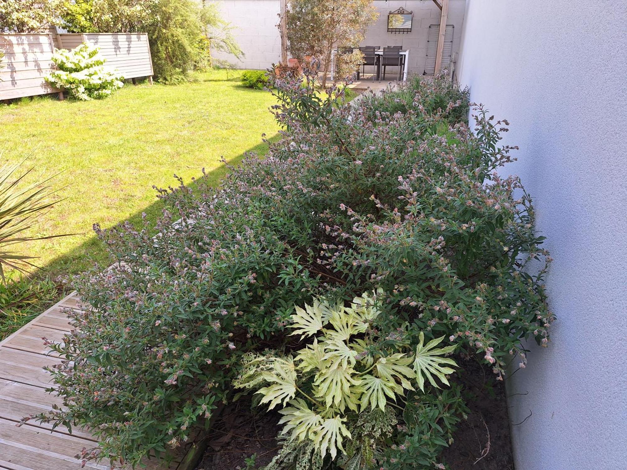 Planchesdisa Villa Saint-Pair-sur-Mer Luaran gambar